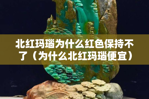 北紅瑪瑙為什么紅色保持不了（為什么北紅瑪瑙便宜）