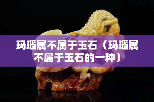 瑪瑙屬不屬于玉石（瑪瑙屬不屬于玉石的一種）