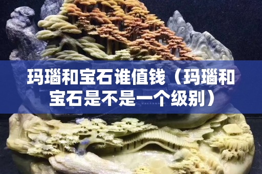 瑪瑙和寶石誰值錢（瑪瑙和寶石是不是一個級別）