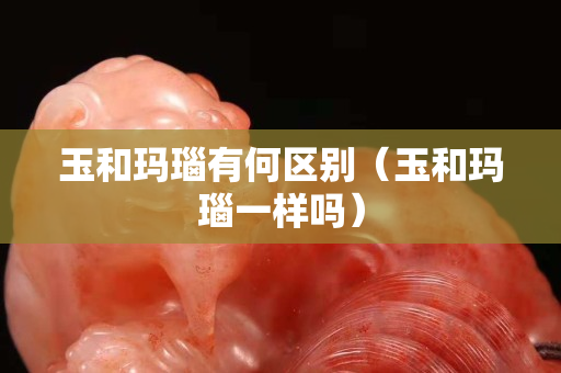 玉和瑪瑙有何區(qū)別（玉和瑪瑙一樣嗎）
