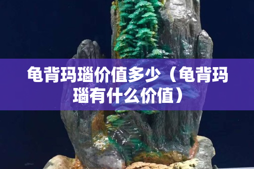 龜背瑪瑙價值多少（龜背瑪瑙有什么價值）