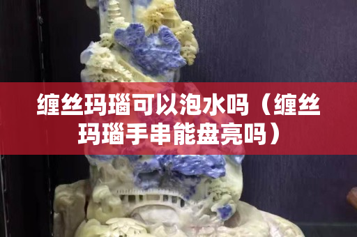 纏絲瑪瑙可以泡水嗎（纏絲瑪瑙手串能盤亮嗎）