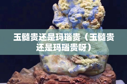 玉髓貴還是瑪瑙貴（玉髓貴還是瑪瑙貴呀）