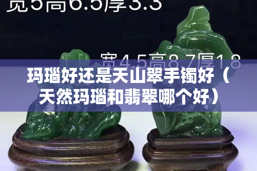 瑪瑙好還是天山翠手鐲好（天然瑪瑙和翡翠哪個好）