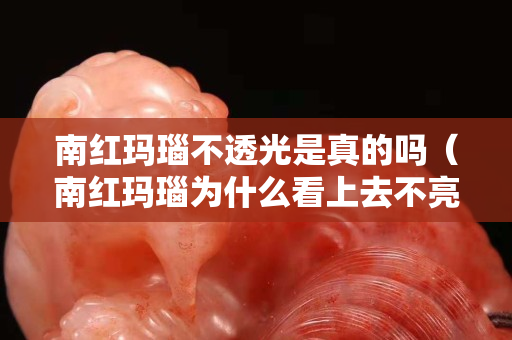 南紅瑪瑙不透光是真的嗎（南紅瑪瑙為什么看上去不亮）
