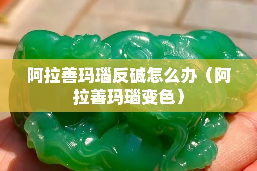 阿拉善瑪瑙反堿怎么辦（阿拉善瑪瑙變色）