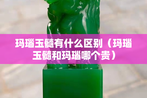 瑪瑙玉髓有什么區別（瑪瑙玉髓和瑪瑙哪個貴）
