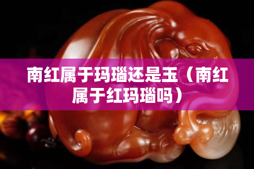 南紅屬于瑪瑙還是玉（南紅屬于紅瑪瑙嗎）