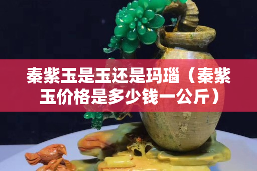 秦紫玉是玉還是瑪瑙（秦紫玉價格是多少錢一公斤）