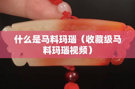 什么是馬料瑪瑙（收藏級馬料瑪瑙視頻）