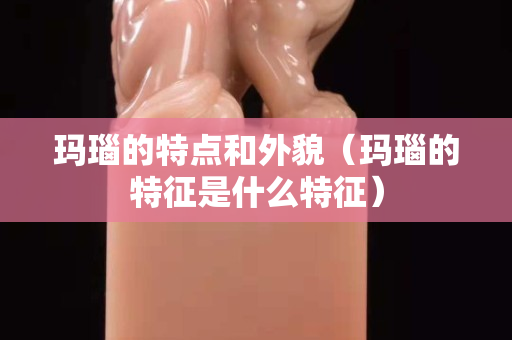 瑪瑙的特點和外貌（瑪瑙的特征是什么特征）