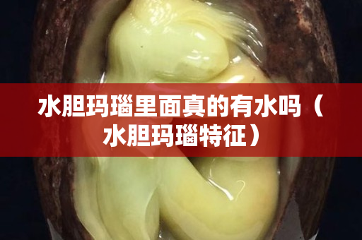 水膽瑪瑙里面真的有水嗎（水膽瑪瑙特征）