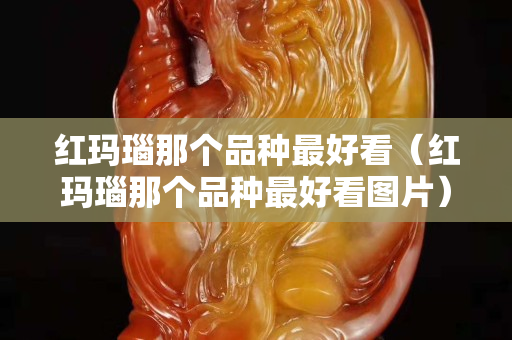 紅瑪瑙那個品種最好看（紅瑪瑙那個品種最好看圖片）