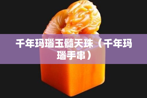 千年瑪瑙玉髓天珠（千年瑪瑙手串）