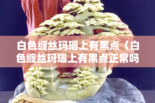 白色纏絲瑪瑙上有黑點（白色纏絲瑪瑙上有黑點正常嗎）