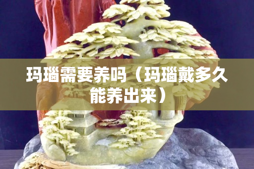 瑪瑙需要養嗎（瑪瑙戴多久能養出來）