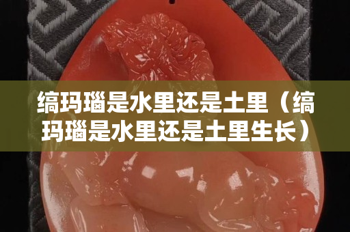 縞瑪瑙是水里還是土里（縞瑪瑙是水里還是土里生長）