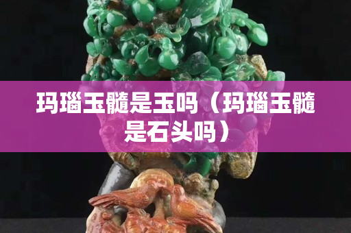 瑪瑙玉髓是玉嗎（瑪瑙玉髓是石頭嗎）