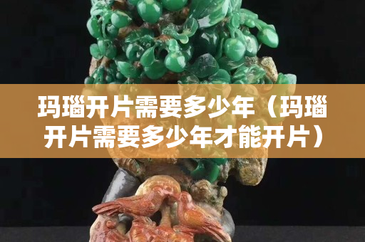 瑪瑙開片需要多少年（瑪瑙開片需要多少年才能開片）