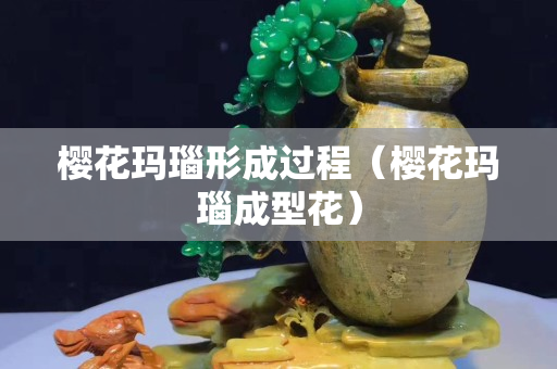 櫻花瑪瑙形成過程（櫻花瑪瑙成型花）