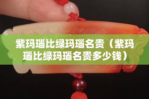 紫瑪瑙比綠瑪瑙名貴（紫瑪瑙比綠瑪瑙名貴多少錢）
