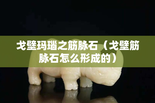 戈壁瑪瑙之筋脈石（戈壁筋脈石怎么形成的）