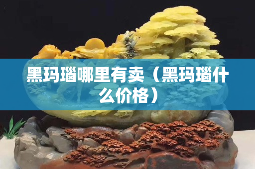 黑瑪瑙哪里有賣（黑瑪瑙什么價格）