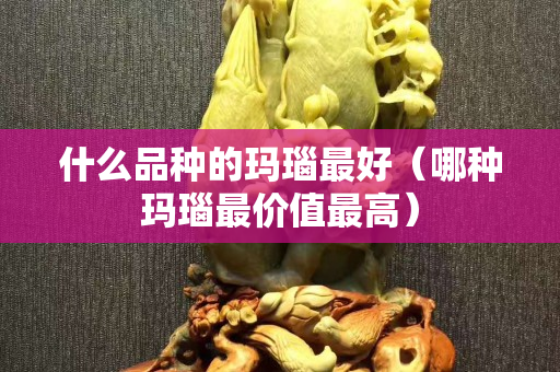 什么品種的瑪瑙最好（哪種瑪瑙最價值最高）