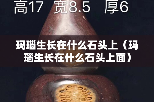 瑪瑙生長在什么石頭上（瑪瑙生長在什么石頭上面）
