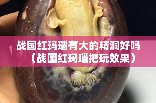 戰國紅瑪瑙有大的精洞好嗎（戰國紅瑪瑙把玩效果）