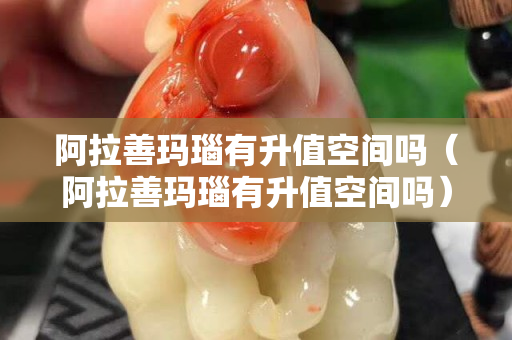 阿拉善瑪瑙有升值空間嗎（阿拉善瑪瑙有升值空間嗎）