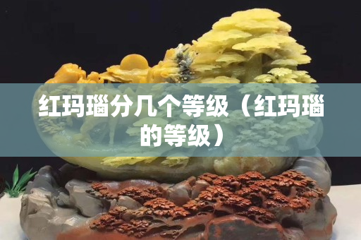 紅瑪瑙分幾個等級（紅瑪瑙的等級）