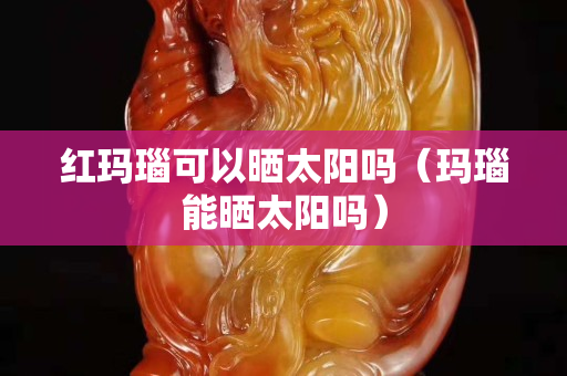 紅瑪瑙可以曬太陽嗎（瑪瑙能曬太陽嗎）