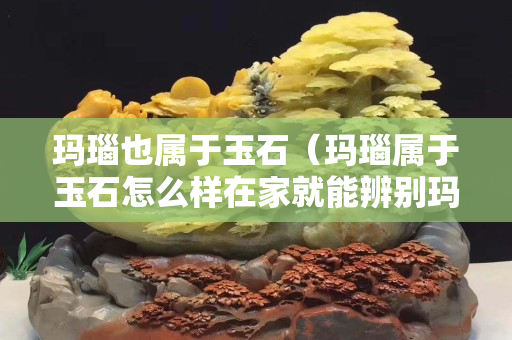 瑪瑙也屬于玉石（瑪瑙屬于玉石怎么樣在家就能辨別瑪瑙是真是假）