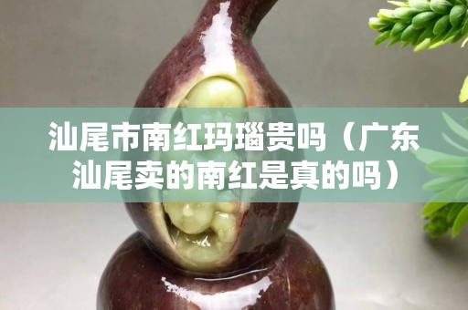 汕尾市南紅瑪瑙貴嗎（廣東汕尾賣的南紅是真的嗎）
