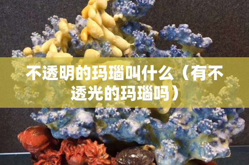 不透明的瑪瑙叫什么（有不透光的瑪瑙嗎）