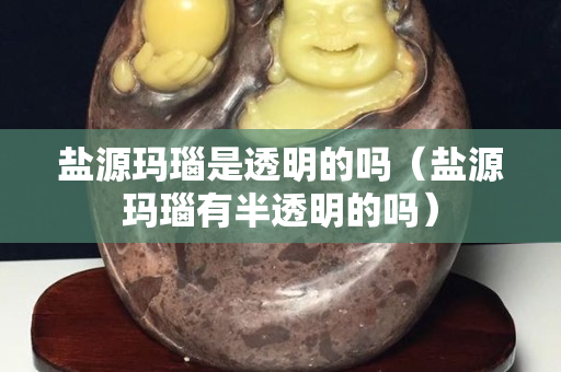 鹽源瑪瑙是透明的嗎（鹽源瑪瑙有半透明的嗎）