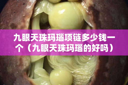 九眼天珠瑪瑙項鏈多少錢一個（九眼天珠瑪瑙的好嗎）