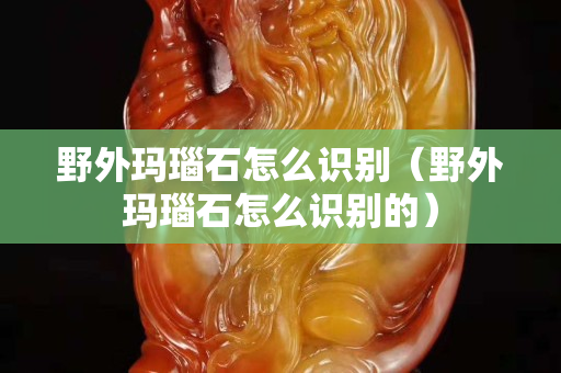 野外瑪瑙石怎么識別（野外瑪瑙石怎么識別的）