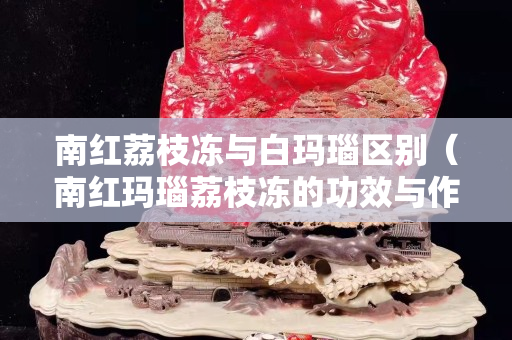 南紅荔枝凍與白瑪瑙區(qū)別（南紅瑪瑙荔枝凍的功效與作用）
