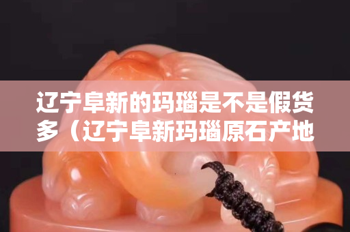遼寧阜新的瑪瑙是不是假貨多（遼寧阜新瑪瑙原石產地）