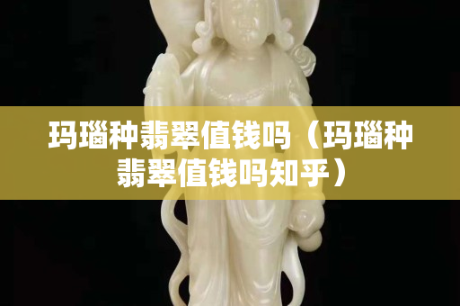 瑪瑙種翡翠值錢嗎（瑪瑙種翡翠值錢嗎知乎）