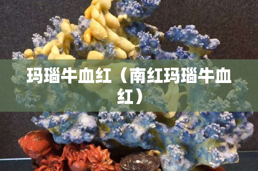 瑪瑙牛血紅（南紅瑪瑙牛血紅）