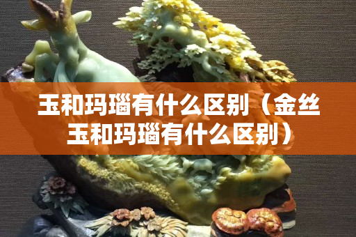 玉和瑪瑙有什么區別（金絲玉和瑪瑙有什么區別）
