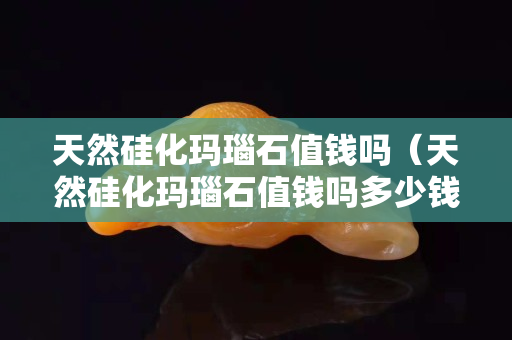 天然硅化瑪瑙石值錢嗎（天然硅化瑪瑙石值錢嗎多少錢）
