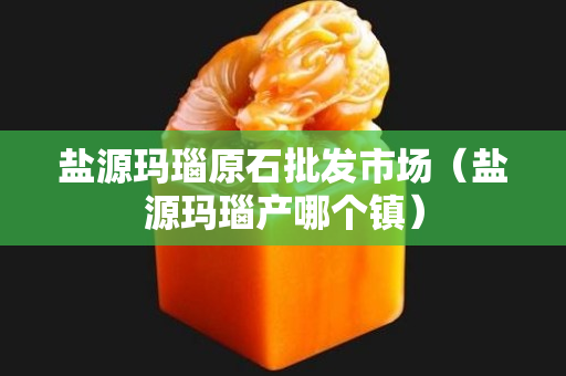 鹽源瑪瑙原石批發(fā)市場（鹽源瑪瑙產(chǎn)哪個鎮(zhèn)）