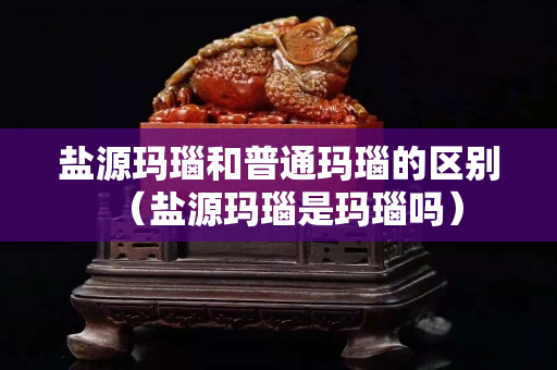 鹽源瑪瑙和普通瑪瑙的區別（鹽源瑪瑙是瑪瑙嗎）