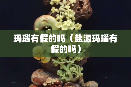 瑪瑙有假的嗎（鹽源瑪瑙有假的嗎）