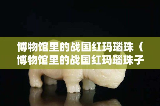 博物館里的戰(zhàn)國紅瑪瑙珠（博物館里的戰(zhàn)國紅瑪瑙珠子值錢嗎）