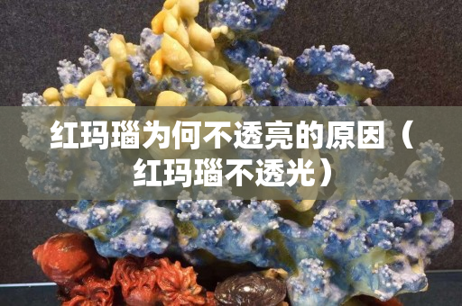 紅瑪瑙為何不透亮的原因（紅瑪瑙不透光）